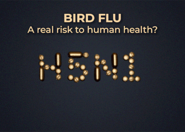 Bird Flu: A Real Risk to Human Health?